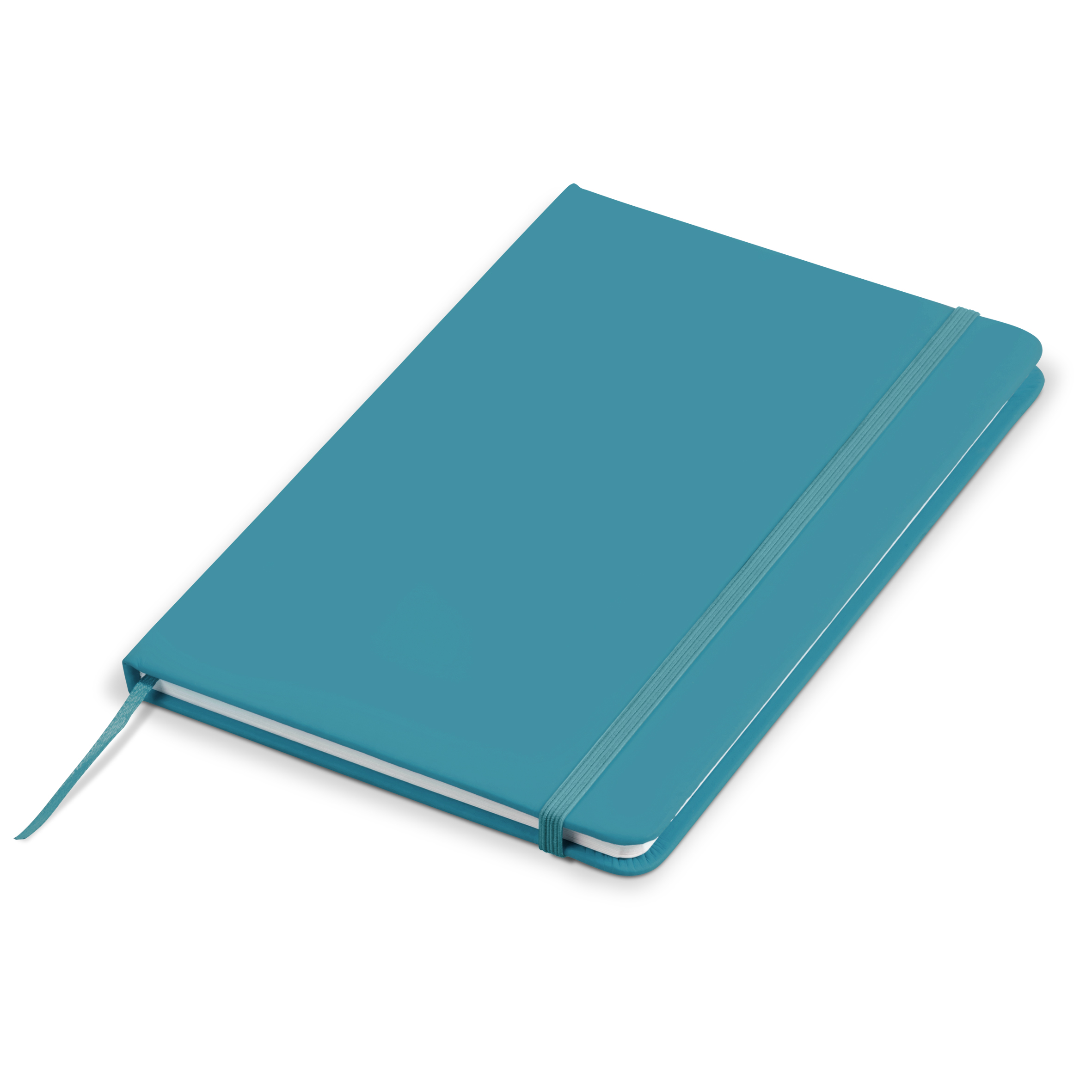 turquoise notebook